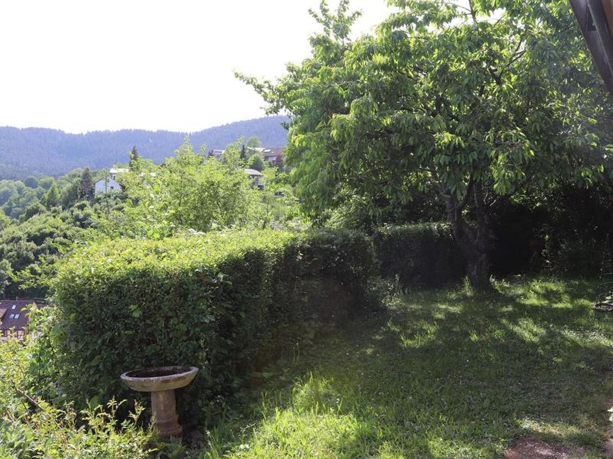 Haus Hoehneck 1 Alpirsbach Kültér fotó