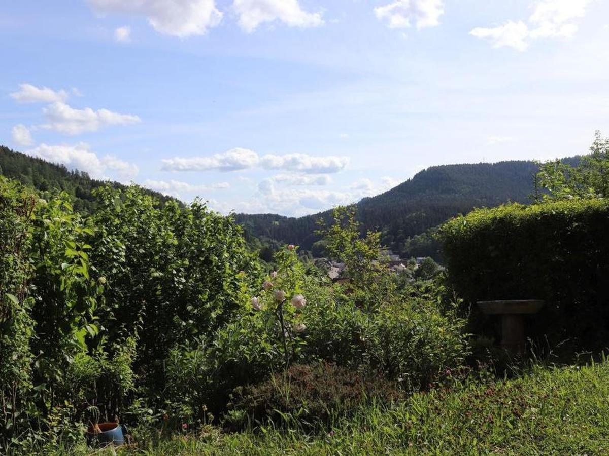 Haus Hoehneck 1 Alpirsbach Kültér fotó